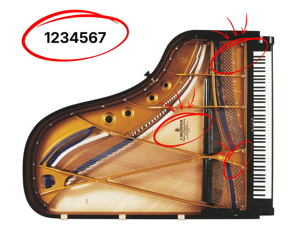A grand piano with the serial number locations circled on the frame