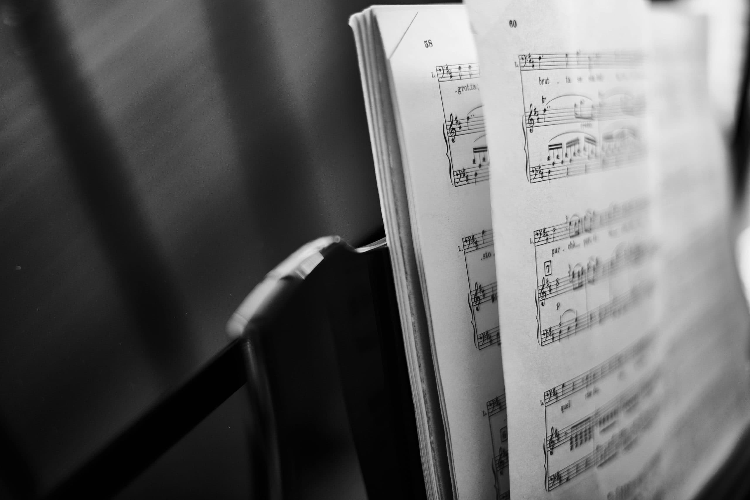 The Mighty Steinway Model D
